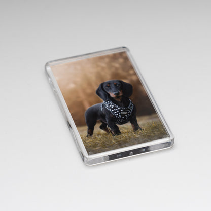 Photo Magnet