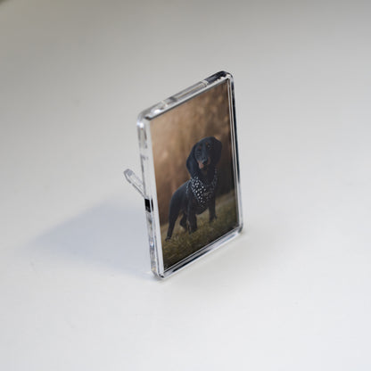 Photo Magnet